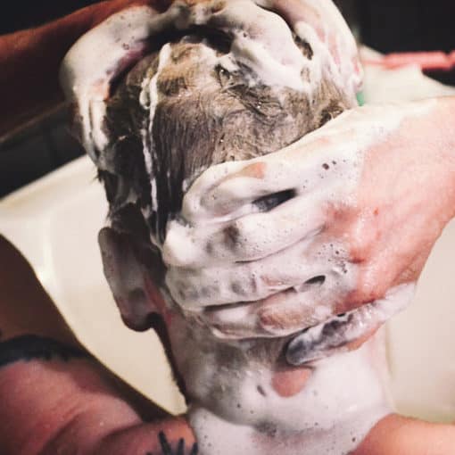 Deep Cleansing Shampoo Deep Cleansing Shampoo